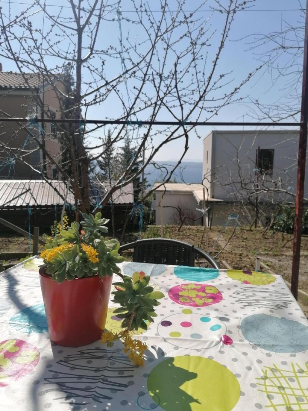 Apartments Olgi - Free Parking Crikvenica Bagian luar foto